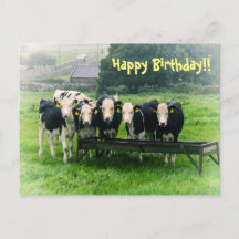 ¡Sonríe, por favor! Postal de cumpleaños de vacas