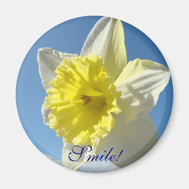 ¡SONRÍE! Regalos de imán Flores de narciso amarill (Frente)