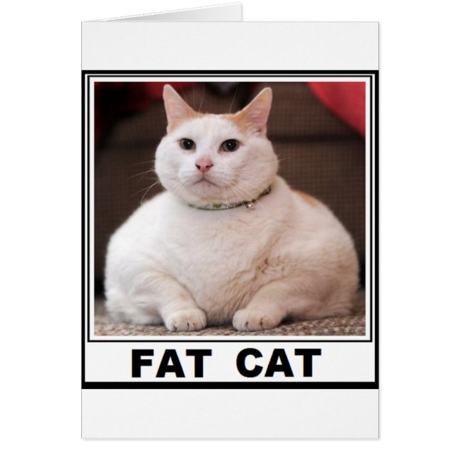 SONRIENTE GATO GRANDE (Frente)