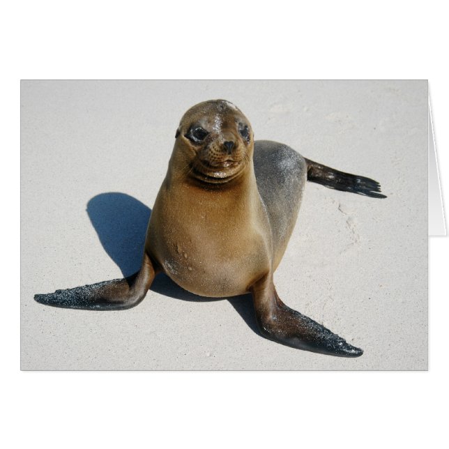 Sonrisa (Anverso (Horizontal))