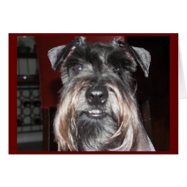 ¡SONRISA conmigo! (Anverso (Horizontal))