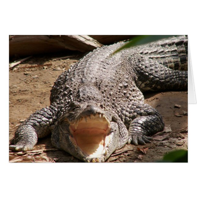 Sonrisa de croc (Anverso (Horizontal))
