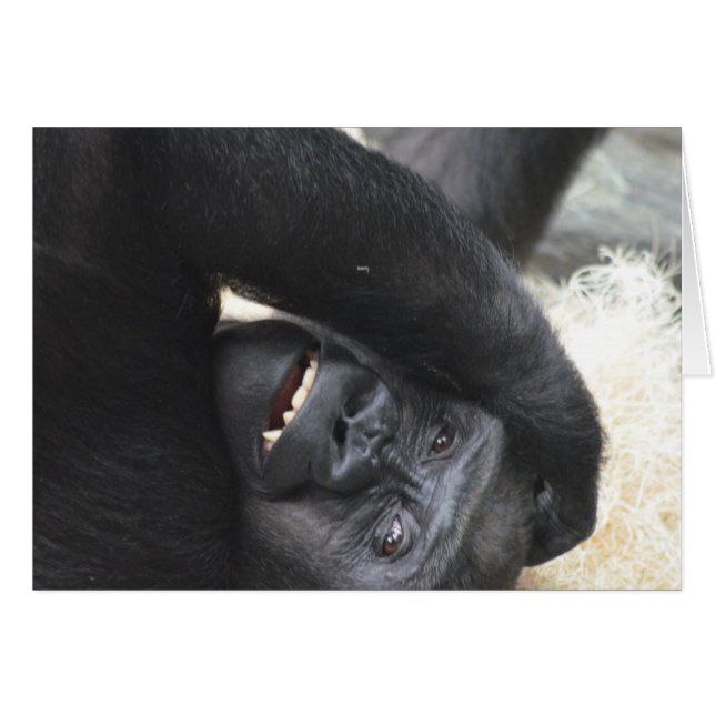 Sonrisa de gorila (Anverso (Horizontal))