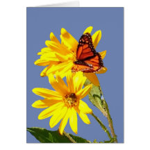 Sonrisa de la mariposa