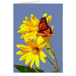 Sonrisa de la mariposa