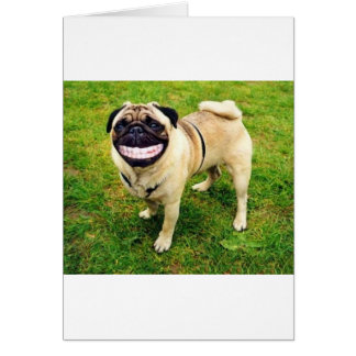sonrisa de perro