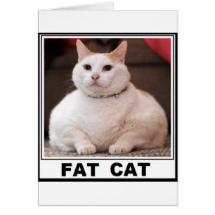 SONRISA DEL CAT DEL FAT