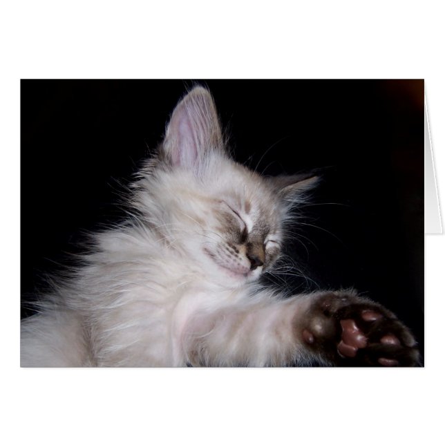 Sonrisa soñolienta del sueño de Louie (Anverso (Horizontal))