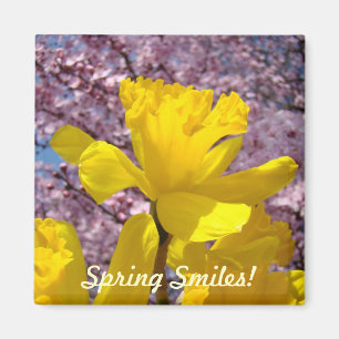 Sonrisas de primavera! Imanes Flores de Narciso Am