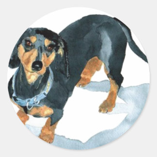 Sophie los Pegatinas de Dachshund