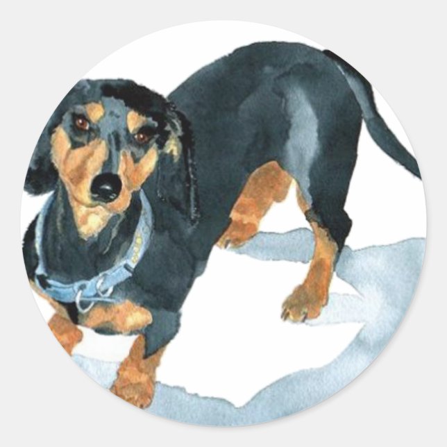 Sophie los Pegatinas de Dachshund (Anverso)