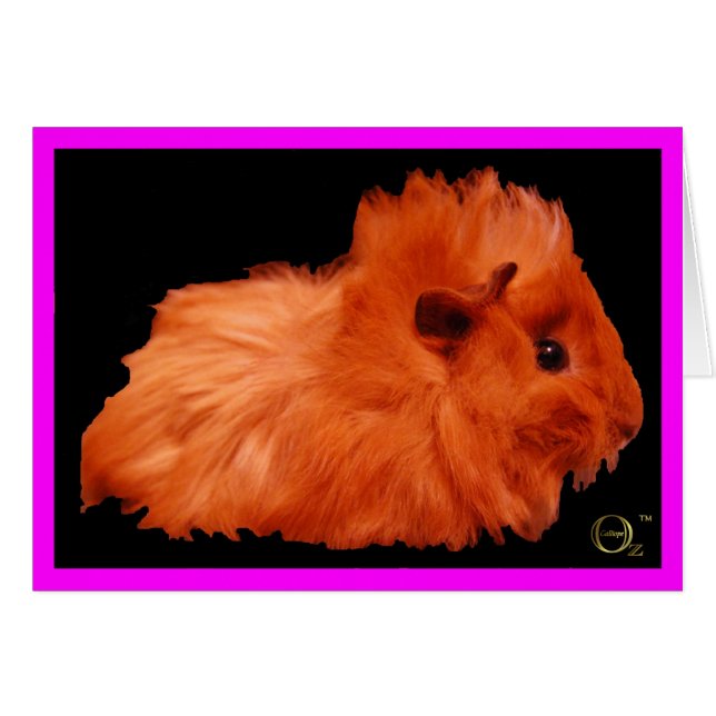 Soplo de polvo (Anverso (Horizontal))