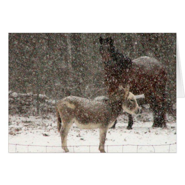 Soplo y torsión (Anverso (Horizontal))