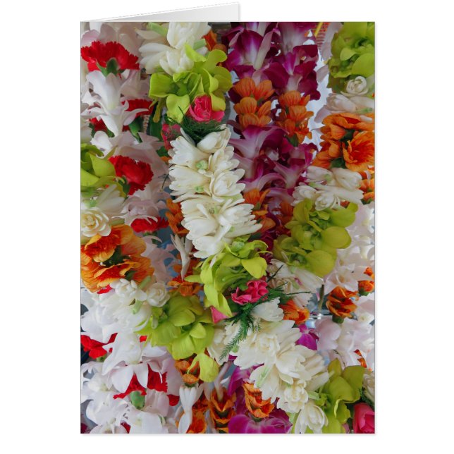 Soporte hawaiano de los leus (Frente)