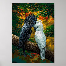 nature and bird dispay