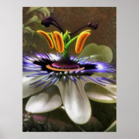 Sorprendente arte abstracto de una flor de pasión