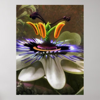 Sorprendente arte abstracto de una flor de pasión