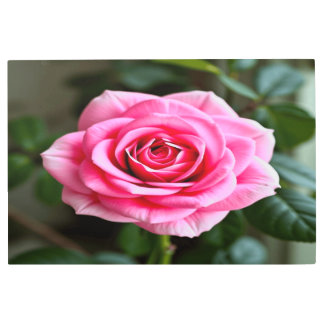 "¡Sorprendente arte mural Metalizado para espacios