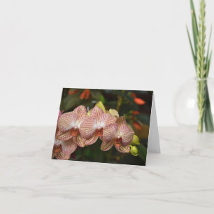 Sorprendente Cadena De Tarjeta De Nota De Orquídea