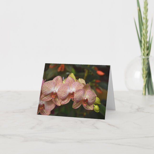 Sorprendente Cadena De Tarjeta De Nota De Orquídea (Anverso)