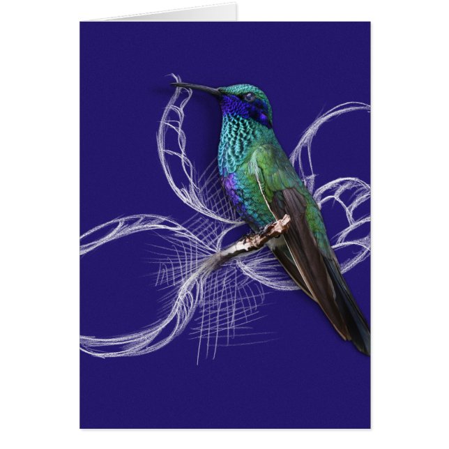 Sorprendente Hummingbird - personaliza agregando n (Frente)