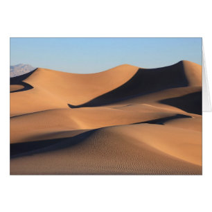 Sorprendentes sombras del desierto