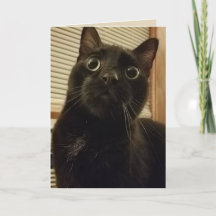 Sorprendida tarjeta para gato negro