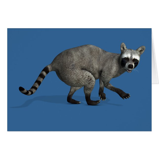 Sorprendido Raccoon (Anverso (Horizontal))