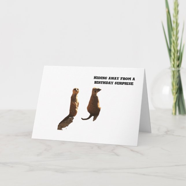 Sorpresa de cumpleaños de los Meerkats, tarjeta (Anverso)