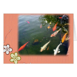 Sorpresa de Koi