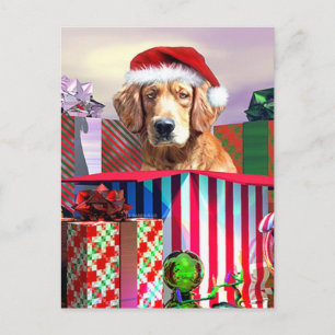 Sorpresa de Navidad del Golden Retriever