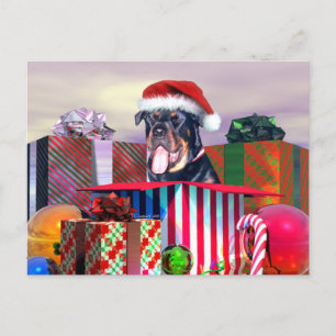 Sorpresa del navidad de Rottweiler
