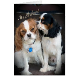 Sorpresa Fiesta: Tarjetas "Es un secreto"