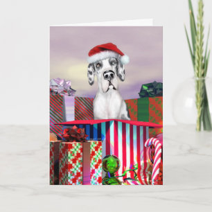 Sorpresa Harle UC del navidad de great dane