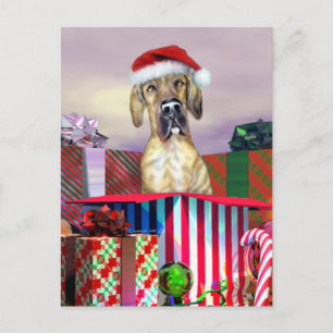 Sorpresa UC Brindle del navidad de great dane