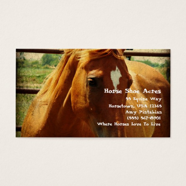 Sorrel en pluma redonda (Frente)