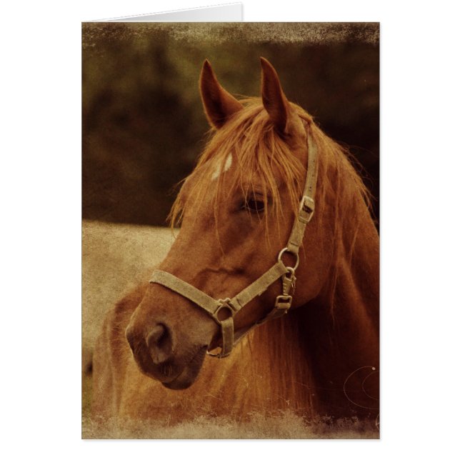 Sorrel Horse Grunge (Frente)