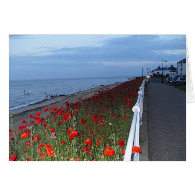 Southwold y Poppies con tarjeta en blanco al atard (Anverso (Horizontal))