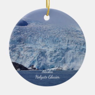 Souvenir de adorno de belleza congelado