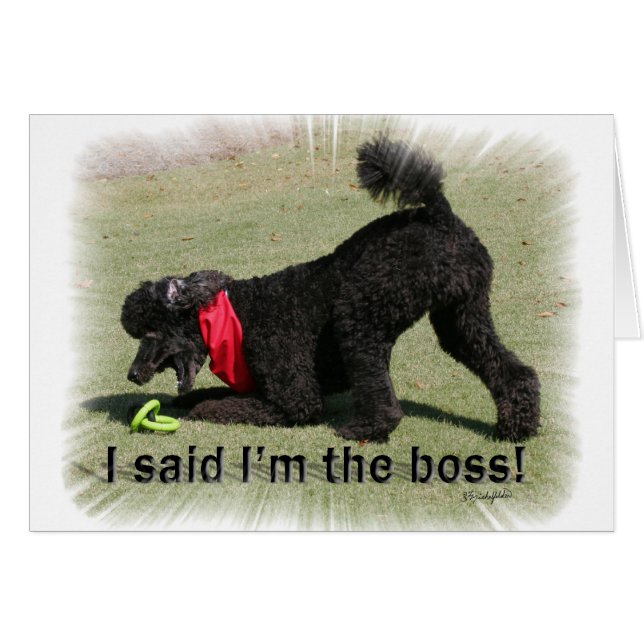 Soy Boss (Anverso (Horizontal))