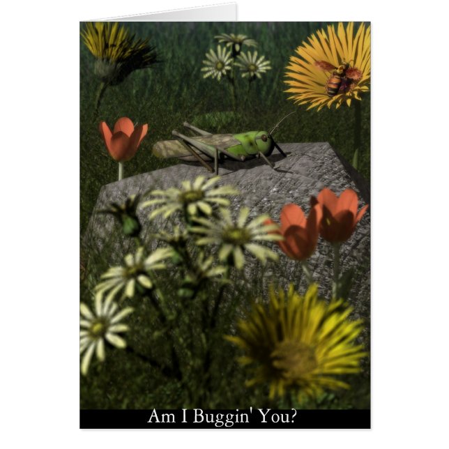 ¿Soy Buggin usted? (Frente)