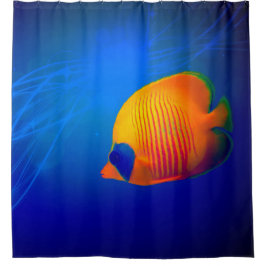 Soy cortina de ducha casera