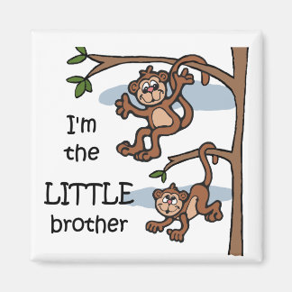 Soy el imán de Little Brother