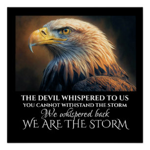 SOY EL POSTER DE LA TORMENTA