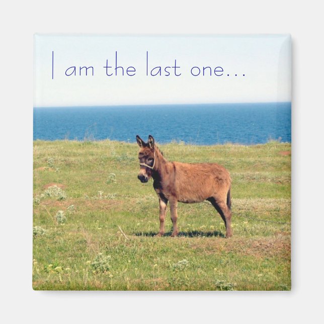 Soy el último... Imán (Frente)