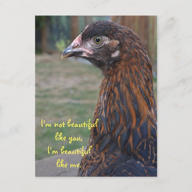 Soy hermosa... Postal de pollo de Cochin (Anverso)