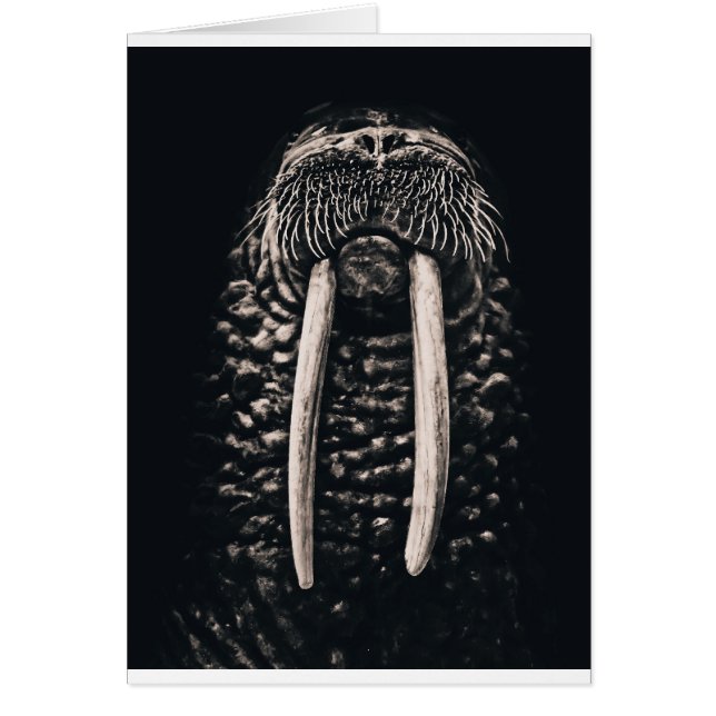 Soy la morsa (Frente)