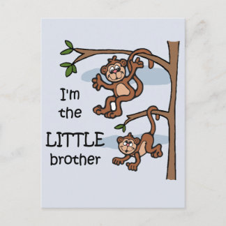 Soy la postal de Little Brother