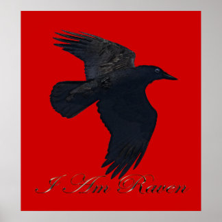 SOY Poster de Arte Raven Volando de RAVEN II