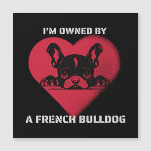 Soy propiedad de un Bulldog Francés